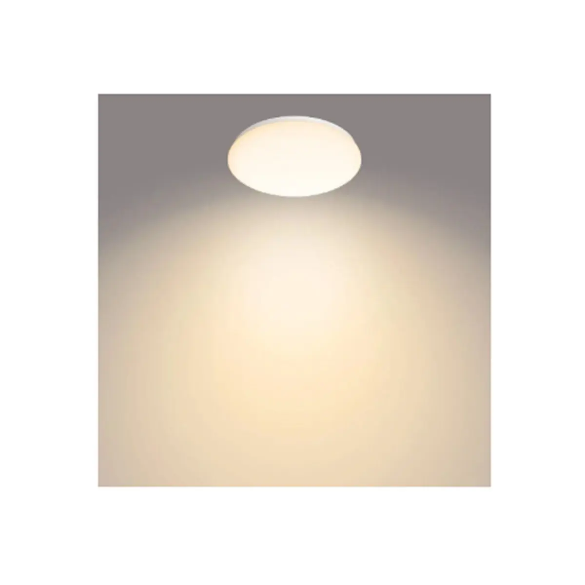 Plafonska svetiljka Philips CL200 moire led bela 17W