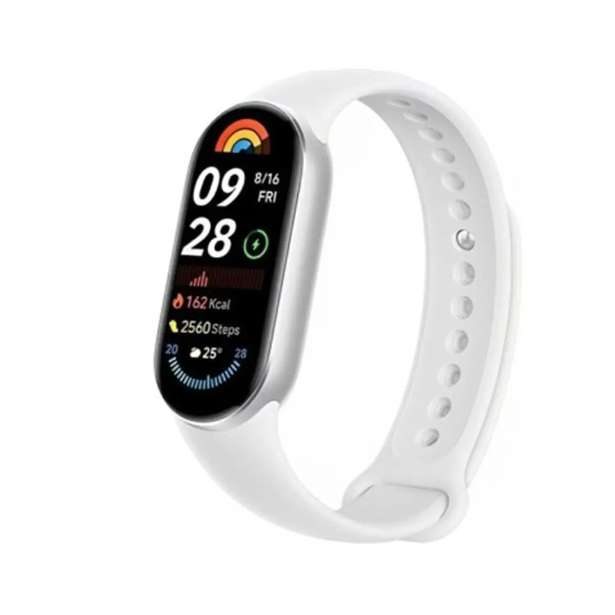 Sat Xiaomi Mi Smart Band 9 Glacier Silver
