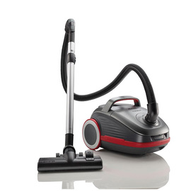 Usisivač Gorenje VCEA24GPRA