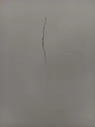Main thumb