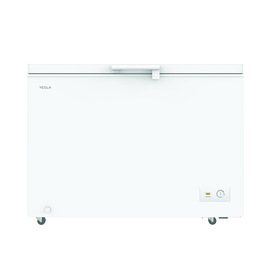 Zamrzivač Tesla RH2900H